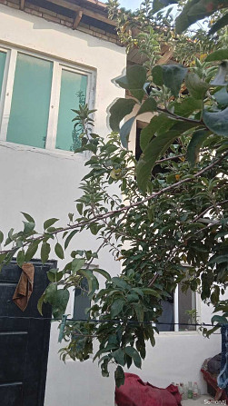 2 этажн. 7-комн. дом, 2 соток, Сино Dushanbe - photo 7