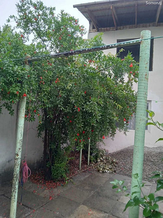 1 этажн. 3-комн. дом, 2 сотки, Сино Dushanbe - photo 2