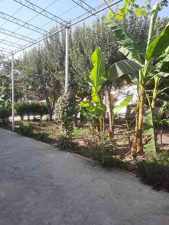 1 этажн. 6-комн. дом, 8 соток, Сино Dushanbe