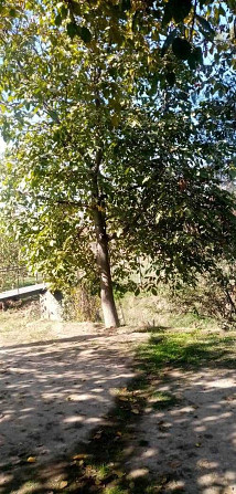 1 этажн. 4-комн. дом, 28 соток, Ленинский  - изображение 4