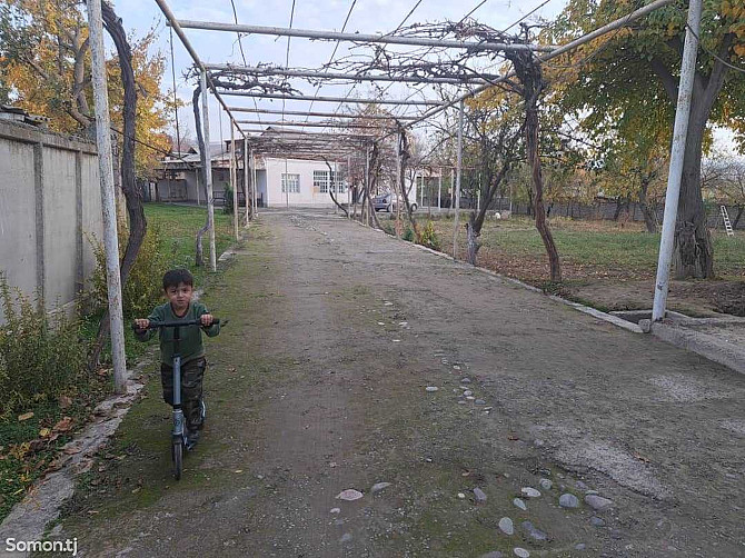 1 этажн. 9-комн. дом, 38 соток,Савхози Назар  - photo 5
