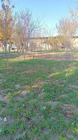1 этажн. 3-комн. дом, 8 соток, бозори багара  - изображение 3