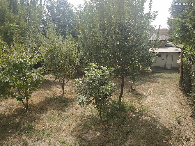 2 этажн. 12-комн. дом, 25 соток, Чоряккорон Душанбе - изображение 8