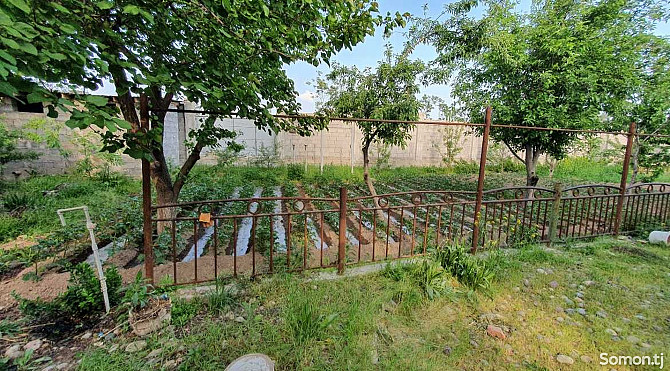 1 этажн. 4-комн. дом, 6 соток, Кушониён Бохтар (Курган-Тюбе) - изображение 2