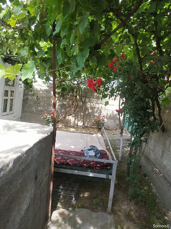 1 этажн. 1-комн. дом, 6 соток, Ҷангалобод Душанбе - изображение 2
