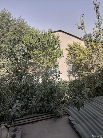 2 этажн. 8-комн. дом, 10 соток Душанбе - изображение 2