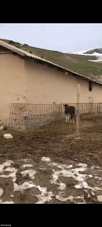 Продажа постройки с земельным участком 1700 сот.,Рудаки Dushanbe - photo 2