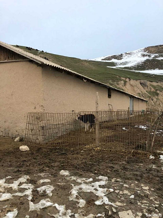 Продажа постройки с земельным участком 1700 сот.,Рудаки Dushanbe - photo 1