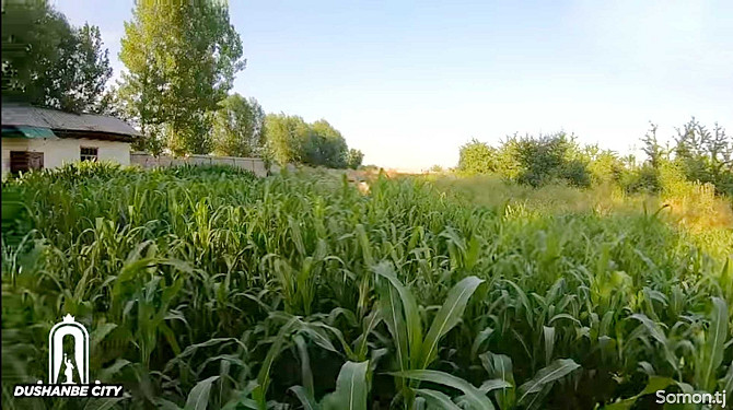 Продажа постройки с земельным участком 235 сот.,Шохмансур Душанбе - изображение 3