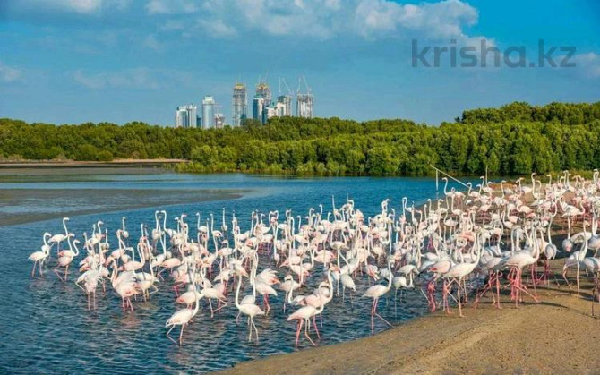 3-комнатная квартира, 109 м², The Vida Residences at Creek Beach Vida Дубай - изображение 2