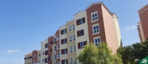 Huge Unfurnished 1BHK in St#4 Discovery Gardens - photo 5