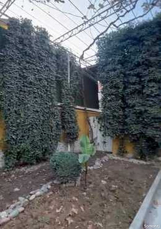5 комнатный дом, 230 м², Исмоили Сомони Душанбе - изображение 5