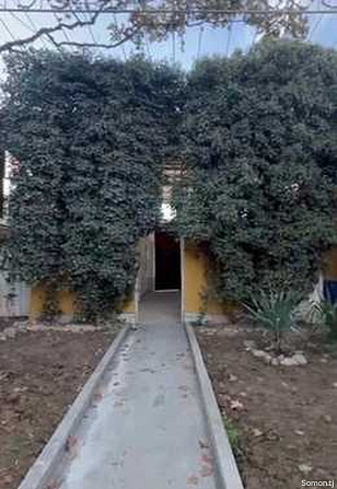 5 комнатный дом, 230 м², Исмоили Сомони Душанбе - изображение 6