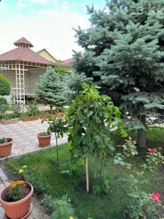 Дом, 6 и более комнат, 400 м2, Бишкек, Рухий Мурас ж/м Bishkek - photo 3