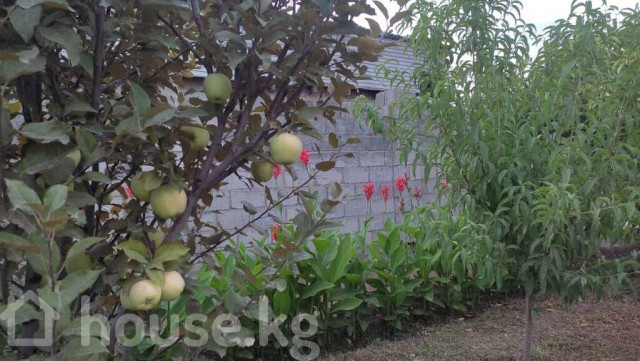 Дом, 6 и более комнат, 167 м2, Бишкек, Кара-Жыгач ж/м Bishkek - photo 4