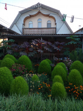 Дом, 6 и более комнат, 180 м2, Бишкек, Кок-Жар ж/м, боогачы 57 Bishkek - photo 3