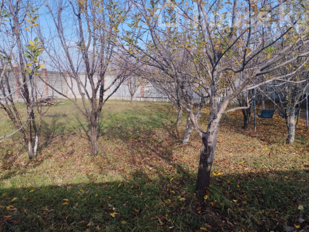 Дом, 4-комн., 93 м2, Кок-Джар, село кок жар  - photo 6