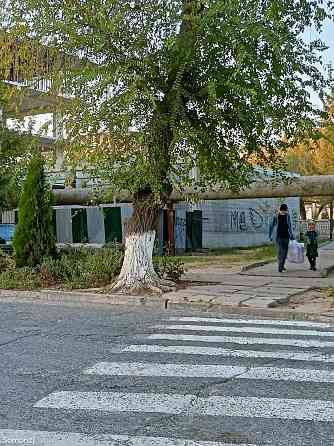 Отдельно стоящее здание, пешеход Поликлиники Турсунзаде