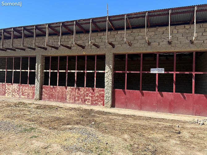 Помещение под магазин / салон, 350м², Даштибеди хурд Вахдат - изображение 6