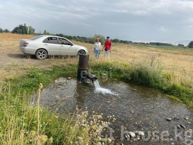 Участок, 70.2 соток, Сокулук, Разная Сокулук - изображение 2