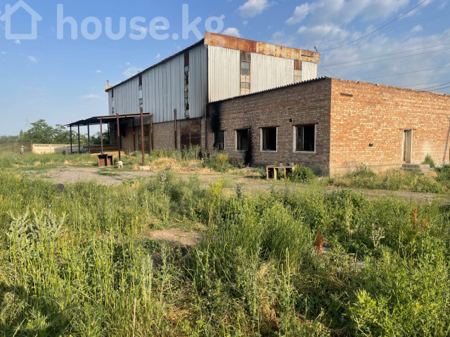 Коммерческая недвижимость, 800 м2, Каинды Kaindy - photo 5