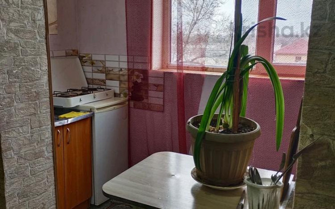 1-комнатная квартира, 28 м², 4/5 этаж посуточно, Гаммалея 17 — Койбакова Тараз - изображение 5