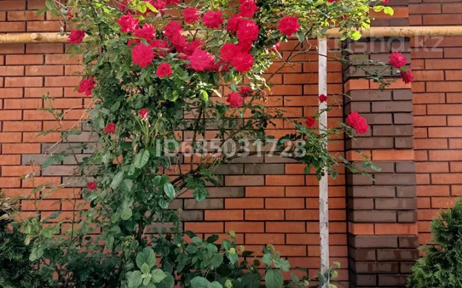 5-комнатный дом помесячно, 250 м², 15 сот., Уштобинская 22 — ул уштобинская 22 Алматы - изображение 5