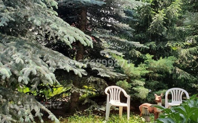 3-комнатный дом помесячно, 120 м², 10 сот., Рыскулова 9  - photo 3