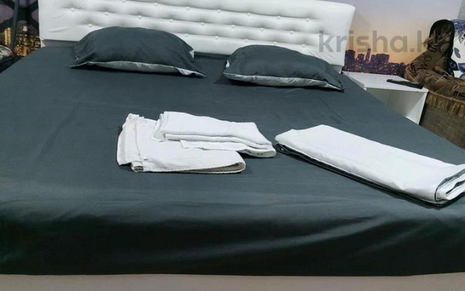 1-комнатная квартира, 31 м², 2/4 этаж посуточно, Тимирязева 61 — Манаса Алматы - изображение 2