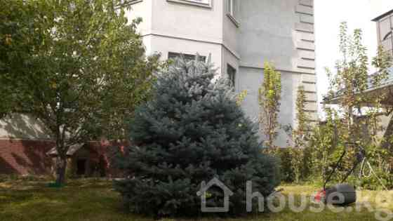 Дом, 6 и более комнат, 450 м2 Бишкек, Магистраль,  ул.Бакаева 12 Bishkek
