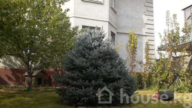 Дом, 6 и более комнат, 450 м2 Бишкек, Магистраль,  ул.Бакаева 12 Бишкек - изображение 3