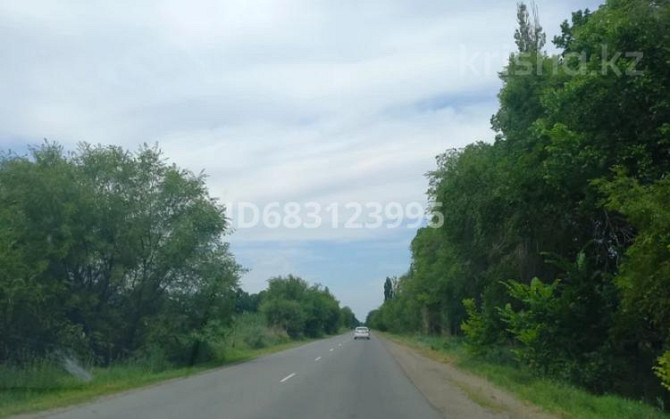 4-комнатный дом помесячно, 102 м², 31 сот., Оракты батыра 38  - photo 3