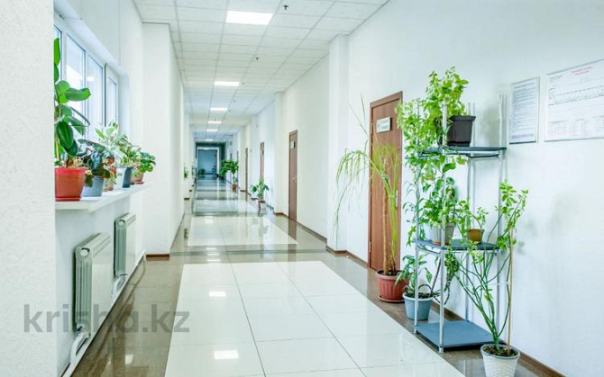 Офисы, 31.1 м² Ust-Kamenogorsk - photo 4