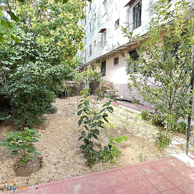 5-комнатная квартира, 1 этаж, 100 м² Ташкент - изображение 2