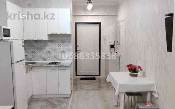 1-комнатная квартира, 29 м², 8/10 этаж, Пр. Сейфуллина 51/9 - Майбороды Almaty
