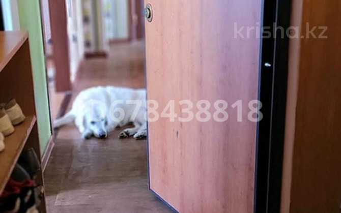 4-комнатная квартира, 98 м², 6/9 этаж, 8 мкр - Школа #17 Temirtau - photo 3
