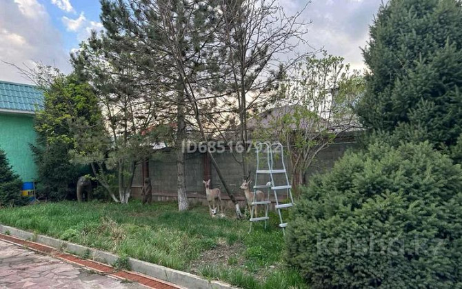 8-комнатный дом, 400 м², 16 сот., мкр Карасу, Кастек батыра 27 Алматы - изображение 8
