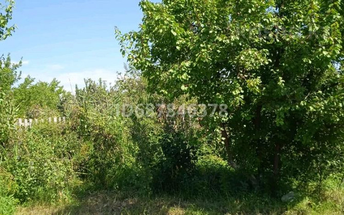Дача с участком в 8 сот., Таскала 3 68  - photo 3