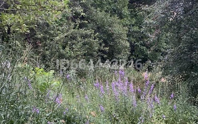 Дача с участком в 12 сот., Экран  - photo 6