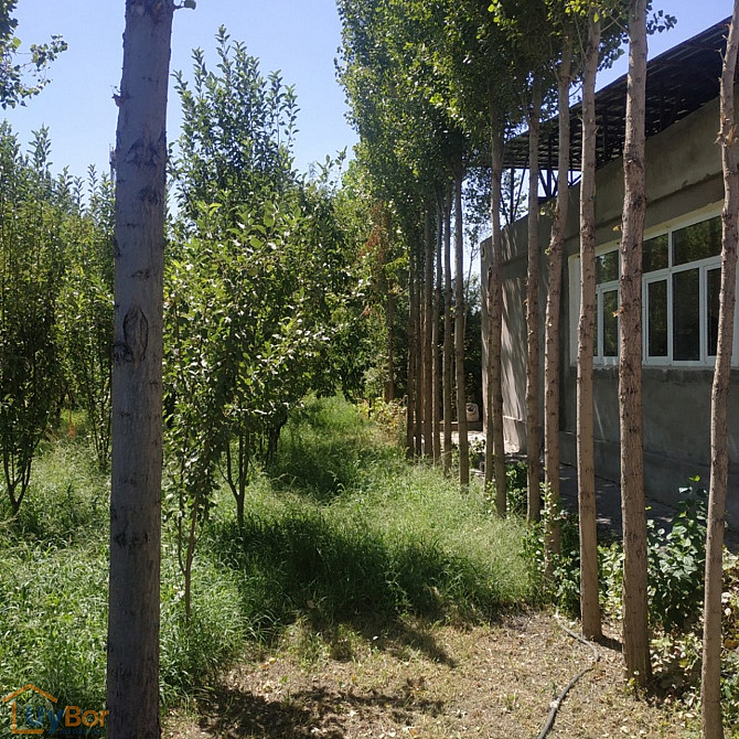 6 комнатный дом, 300 м2, Ташкент, Яшнободский район, 3-й квартал, улица Иззат Ташкент - изображение 1