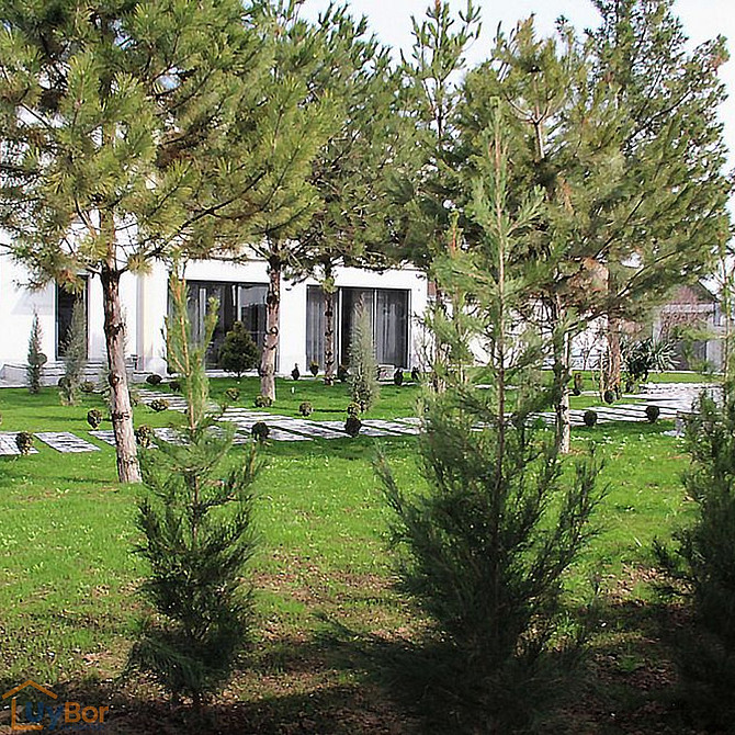 6 комнатный дом, 300 м2, Ташкент, Яшнободский район, 3-й квартал, улица Чулпан Tashkent - photo 3