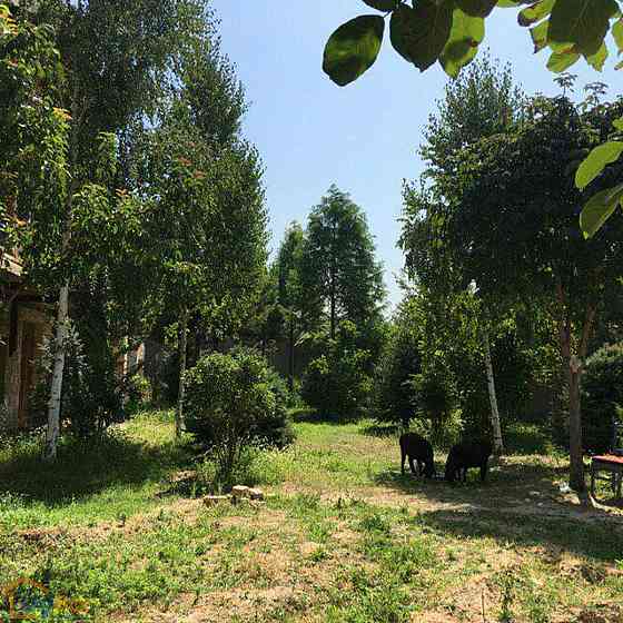 6 комнатный дом, 460 м2, Ташкентская область Tashkent