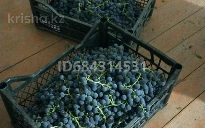 Дача с участком в 7 сот., Автомобилист  - photo 5