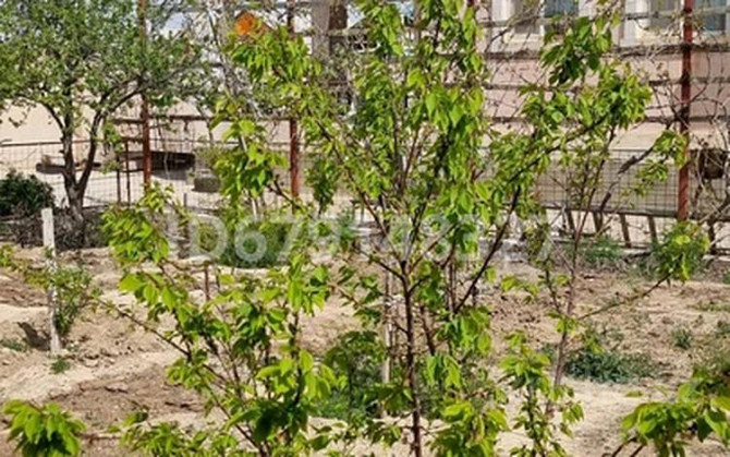 5-комнатный дом, 200 м², 12 сот., Ынтымак 769а-770а - Автодром Магазин Нурсат, Бек  - изображение 3