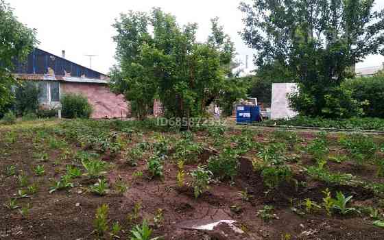 Дача с участком в 6 сот., мкр Пригородный Виноградная 287 Астана