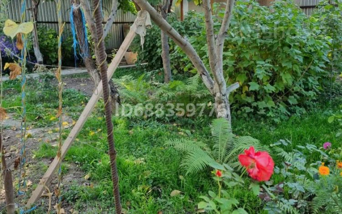 3-комнатный дом, 64 м², 10 сот., ул. Абая 3  - photo 1