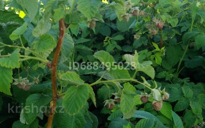 Дача с участком в 6 сот., Мичурина 3  - photo 6