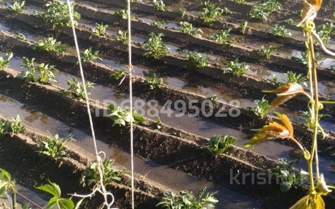 Дача с участком в 6 сот., Мичурина 3  - photo 3