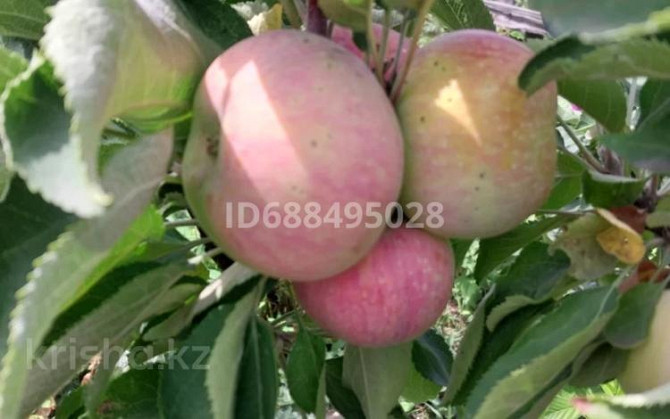 Дача с участком в 6 сот., Мичурина 3  - photo 1