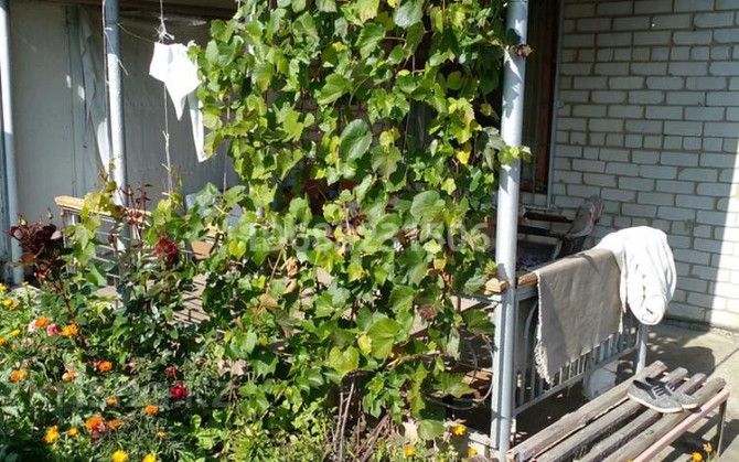 Дача с участком в 6 сот., Ахмирово 14 - 7 Усть-Каменогорск - изображение 7